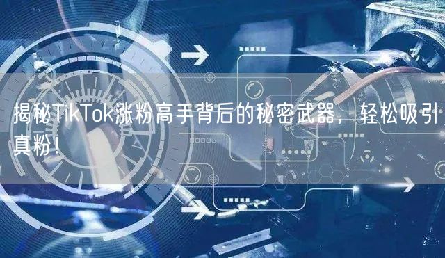 揭秘TikTok涨粉高手背后的秘密武器，轻松吸引真粉！