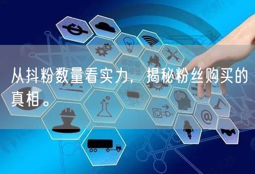 从抖粉数量看实力，揭秘粉丝购买的真相。