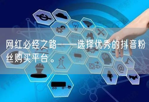 网红必经之路——选择优秀的抖音粉丝购买平台。