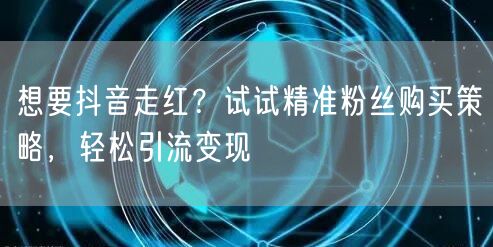 想要抖音走红？试试精准粉丝购买策略，轻松引流变现