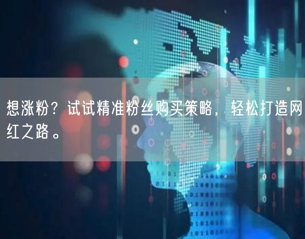 想涨粉？试试精准粉丝购买策略，轻松打造网红之路。