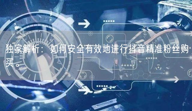 独家解析：如何安全有效地进行抖音精准粉丝购买。