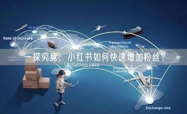 一探究竟：小红书如何快速增加粉丝？