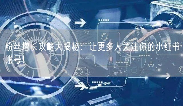 粉丝增长攻略大揭秘：让更多人关注你的小红书账号！
