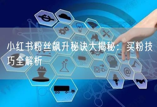 小红书粉丝飙升秘诀大揭秘：买粉技巧全解析