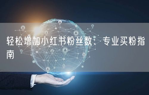 轻松增加小红书粉丝数：专业买粉指南