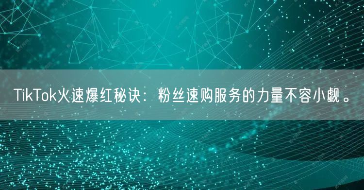 TikTok火速爆红秘诀：粉丝速购服务的力量不容小觑。