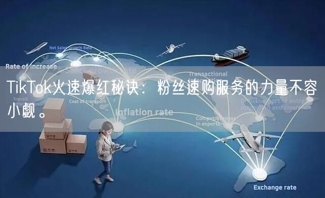TikTok火速爆红秘诀：粉丝速购服务的力量不容小觑。