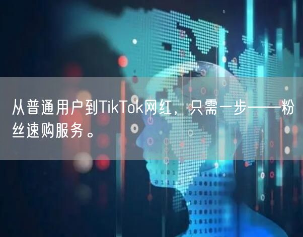 从普通用户到TikTok网红，只需一步——粉丝速购服务。