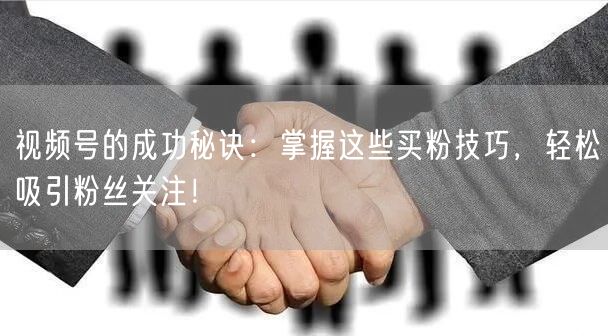 视频号的成功秘诀：掌握这些买粉技巧，轻松吸引粉丝关注！