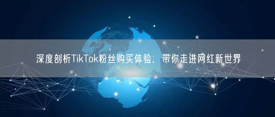 深度剖析TikTok粉丝购买体验，带你走进网红新世界