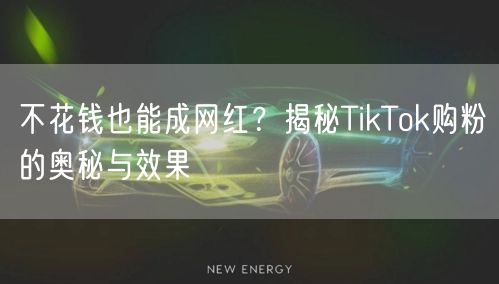 不花钱也能成网红？揭秘TikTok购粉的奥秘与效果