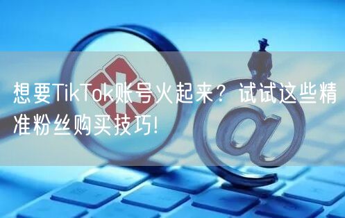 想要TikTok账号火起来？试试这些精准粉丝购买技巧!