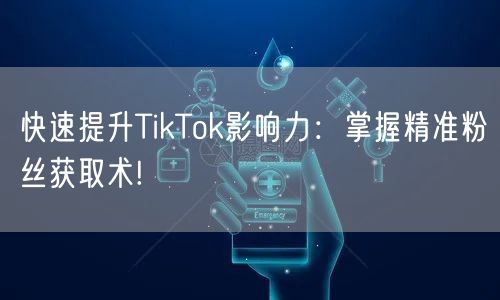 快速提升TikTok影响力：掌握精准粉丝获取术!