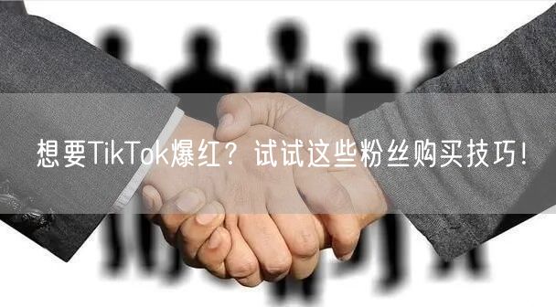 想要TikTok爆红？试试这些粉丝购买技巧！