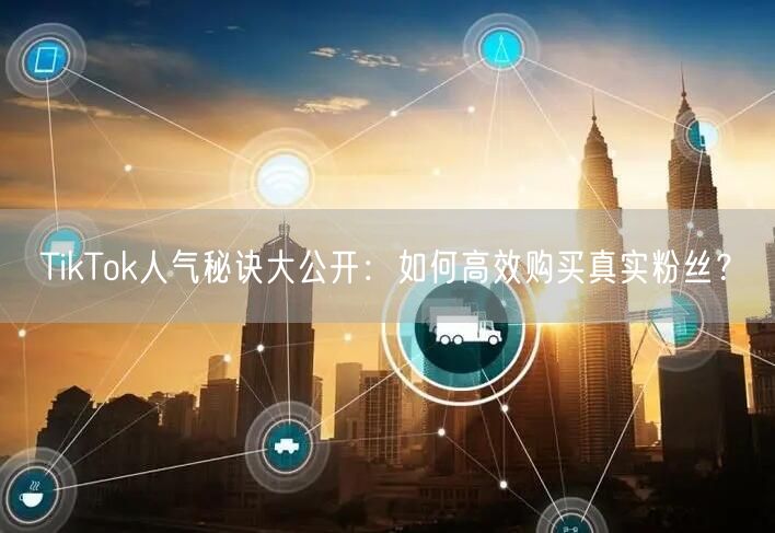 TikTok人气秘诀大公开：如何高效购买真实粉丝？
