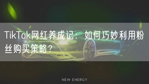 TikTok网红养成记：如何巧妙利用粉丝购买策略？