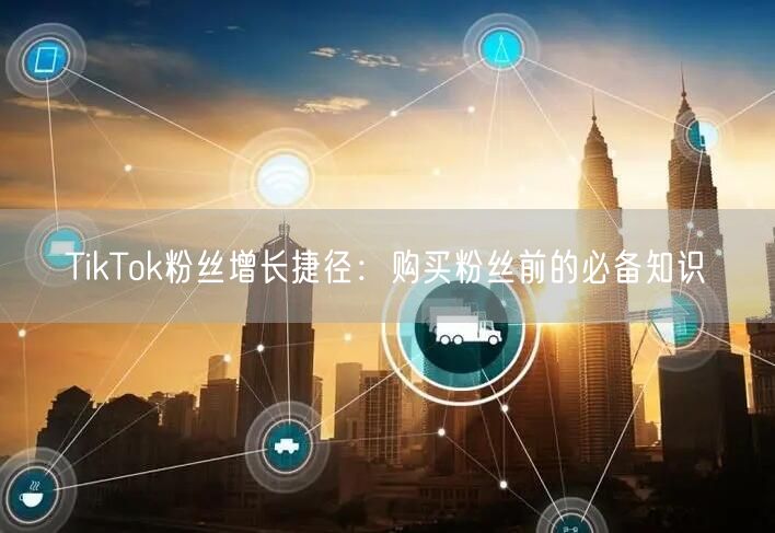 TikTok粉丝增长捷径：购买粉丝前的必备知识