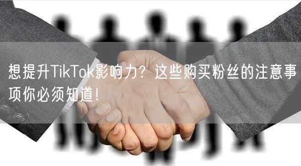 想提升TikTok影响力？这些购买粉丝的注意事项你必须知道！