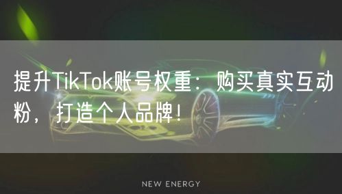 提升TikTok账号权重：购买真实互动粉，打造个人品牌！