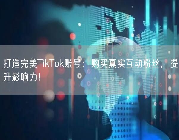 打造完美TikTok账号：购买真实互动粉丝，提升影响力！