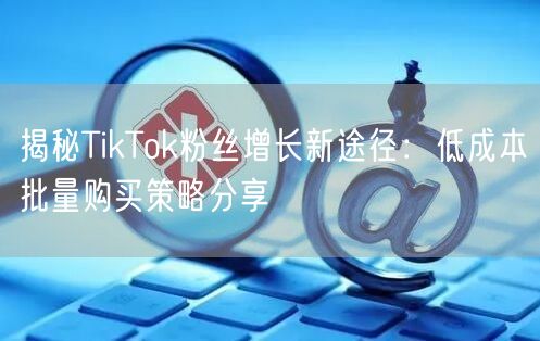 揭秘TikTok粉丝增长新途径：低成本批量购买策略分享