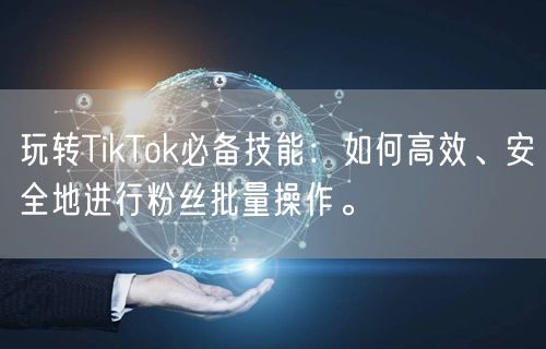 玩转TikTok必备技能：如何高效、安全地进行粉丝批量操作。
