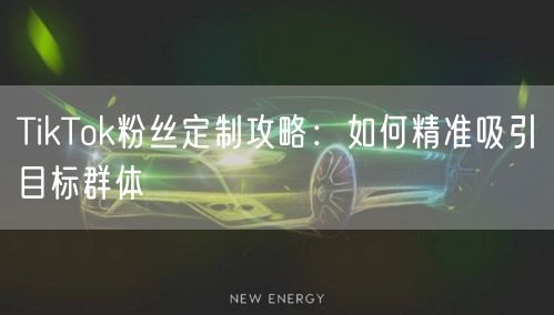 TikTok粉丝定制攻略：如何精准吸引目标群体