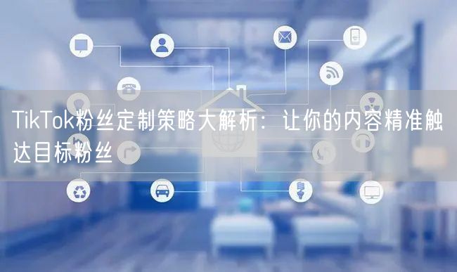 TikTok粉丝定制策略大解析：让你的内容精准触达目标粉丝