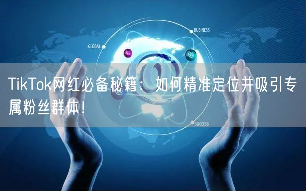 TikTok网红必备秘籍：如何精准定位并吸引专属粉丝群体！