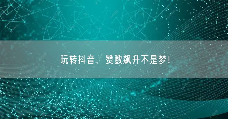 玩转抖音，赞数飙升不是梦！