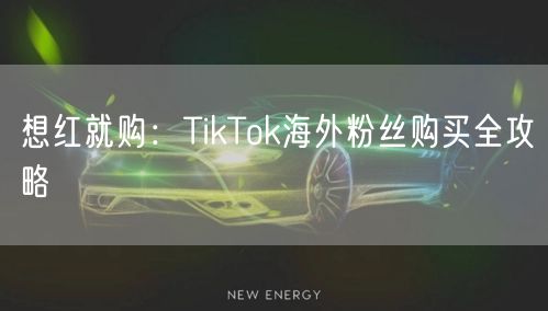 想红就购：TikTok海外粉丝购买全攻略