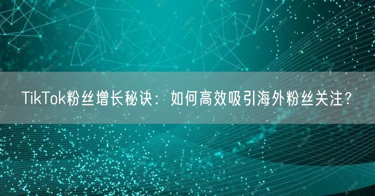 TikTok粉丝增长秘诀：如何高效吸引海外粉丝关注？