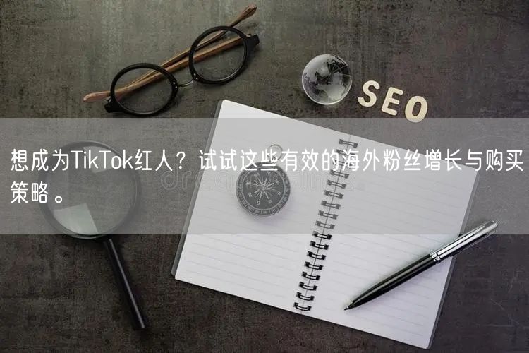 想成为TikTok红人？试试这些有效的海外粉丝增长与购买策略。