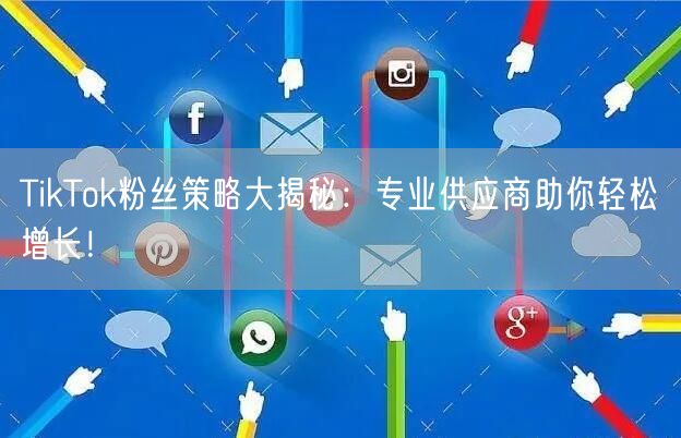 TikTok粉丝策略大揭秘：专业供应商助你轻松增长！