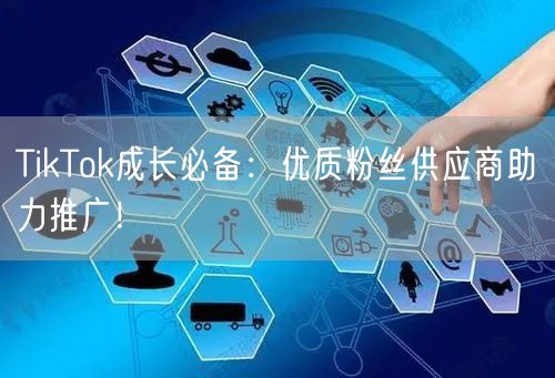 TikTok成长必备：优质粉丝供应商助力推广！