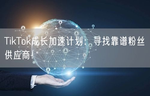 TikTok成长加速计划：寻找靠谱粉丝供应商！