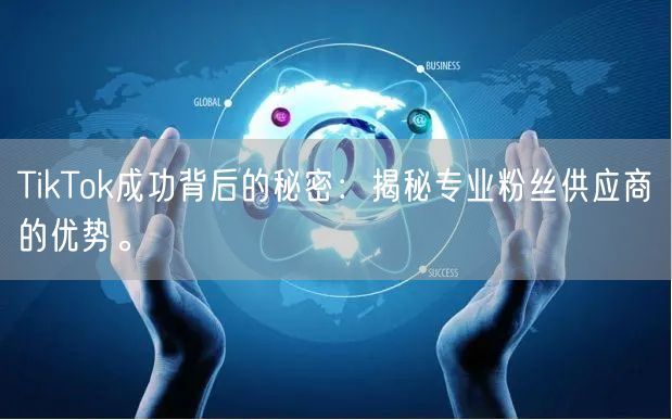 TikTok成功背后的秘密：揭秘专业粉丝供应商的优势。