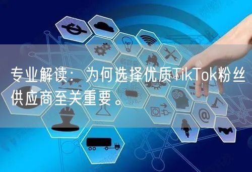 专业解读：为何选择优质TikTok粉丝供应商至关重要。