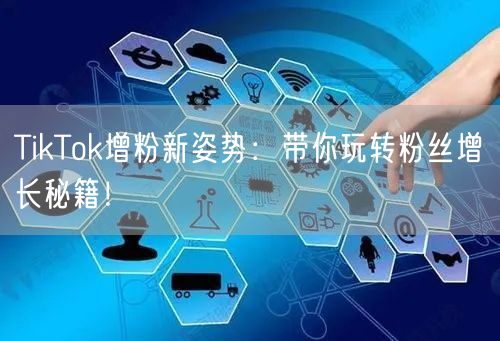 TikTok增粉新姿势：带你玩转粉丝增长秘籍！