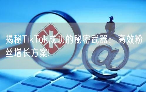 揭秘TikTok成功的秘密武器：高效粉丝增长方案!