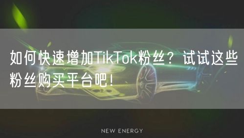 如何快速增加TikTok粉丝？试试这些粉丝购买平台吧！