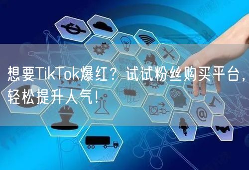 想要TikTok爆红？试试粉丝购买平台，轻松提升人气！