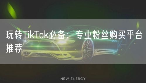 玩转TikTok必备：专业粉丝购买平台推荐