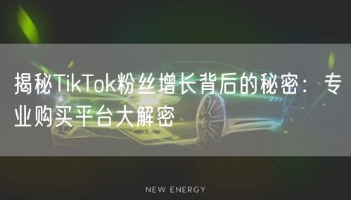 揭秘TikTok粉丝增长背后的秘密：专业购买平台大解密