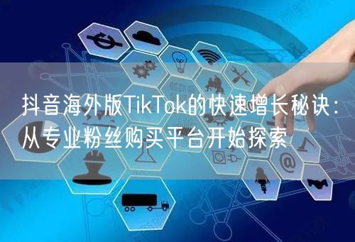 抖音海外版TikTok的快速增长秘诀：从专业粉丝购买平台开始探索