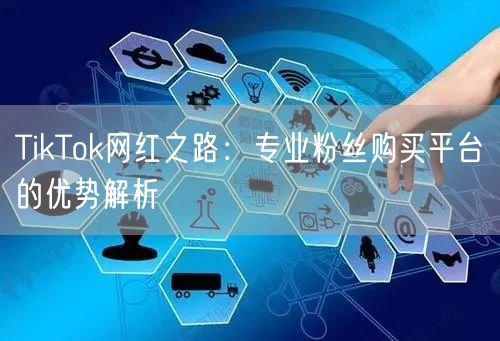 TikTok网红之路：专业粉丝购买平台的优势解析