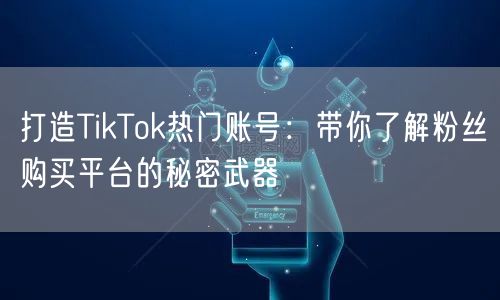 打造TikTok热门账号：带你了解粉丝购买平台的秘密武器