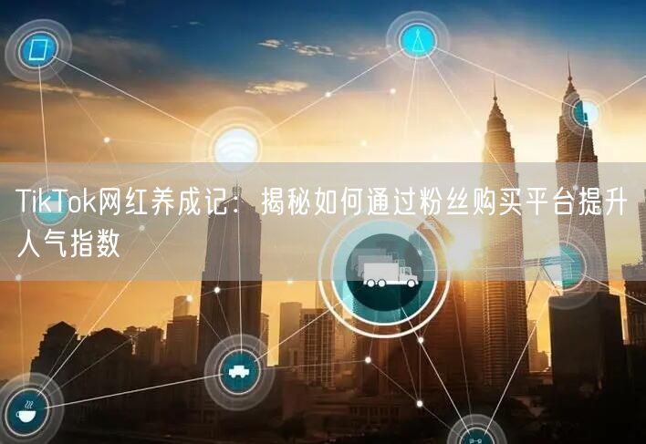 TikTok网红养成记：揭秘如何通过粉丝购买平台提升人气指数