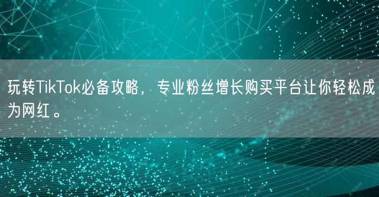 玩转TikTok必备攻略，专业粉丝增长购买平台让你轻松成为网红。